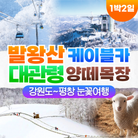 부산출발 강원 평창 발왕산케이블카 대관령 양떼목장 1박2일 버스…