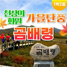 천상의화원 가을단풍 곰배령 1박2일