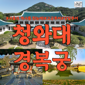 #서울의 역사를 한눈에 #고궁여행  청와대+경복궁 당일투어