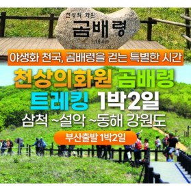 야생화천국 곰배령 1박2일