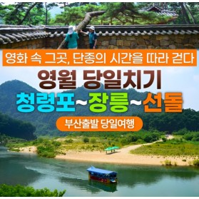 영월 정선 당일여행