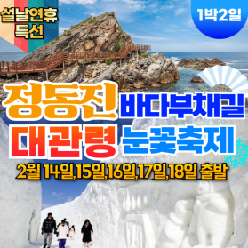 부산출발 설날여행 정동진 바다부채길+대관령 눈꽃축제+발왕산 케이…